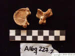 L_V20d5071 A16q227.2 R827 lR ta human bones in q-lot.JPG L_V20d5071 A16q227.2 R827 lR ta human bones in q-lot
